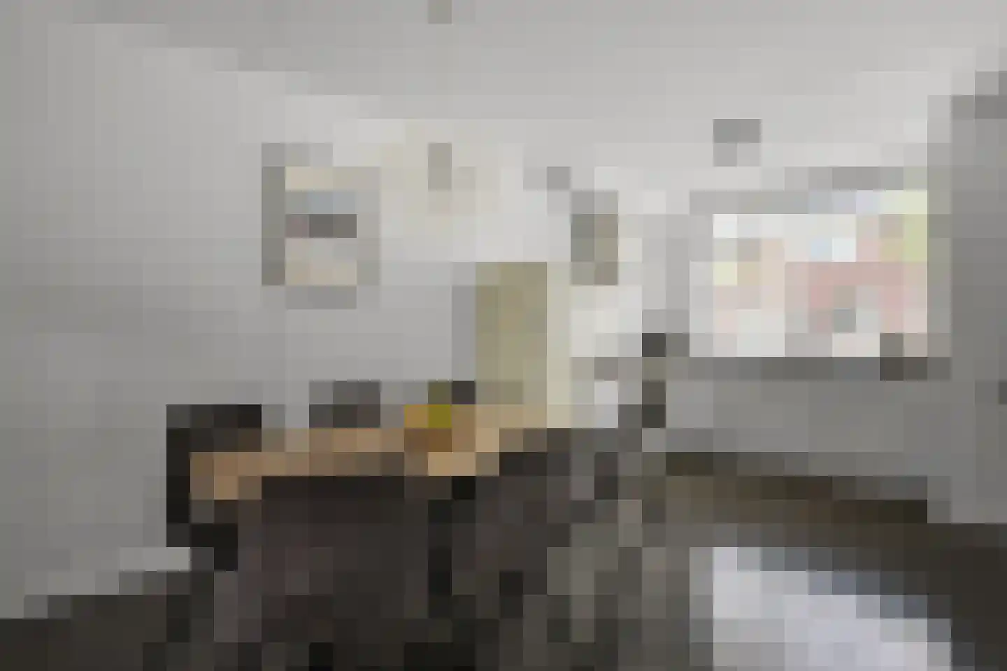 Pastoor J. van Dijklaan 69 De Kwakel thumbnail 7