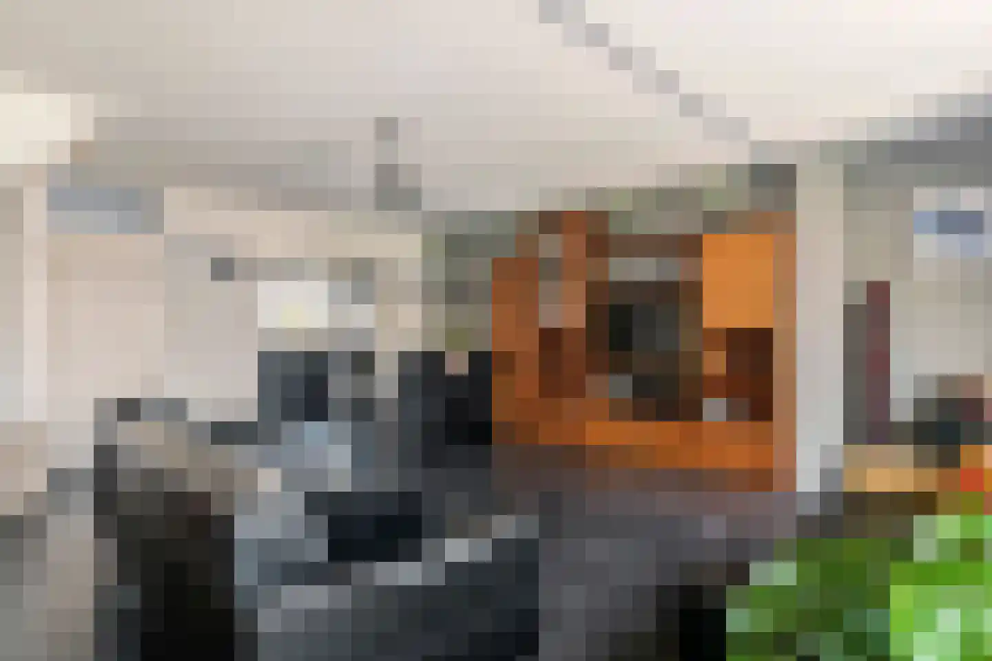 Pastoor J. van Hovestraat 23 Beesd thumbnail 7