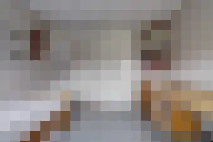 Pastoor J. van Hovestraat 60 Beesd thumbnail 33