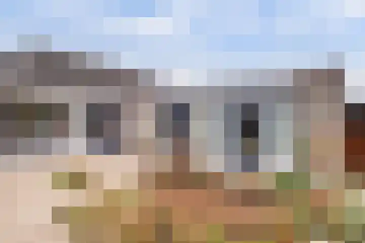 Pastoor J. van Hovestraat 60 Beesd thumbnail 4
