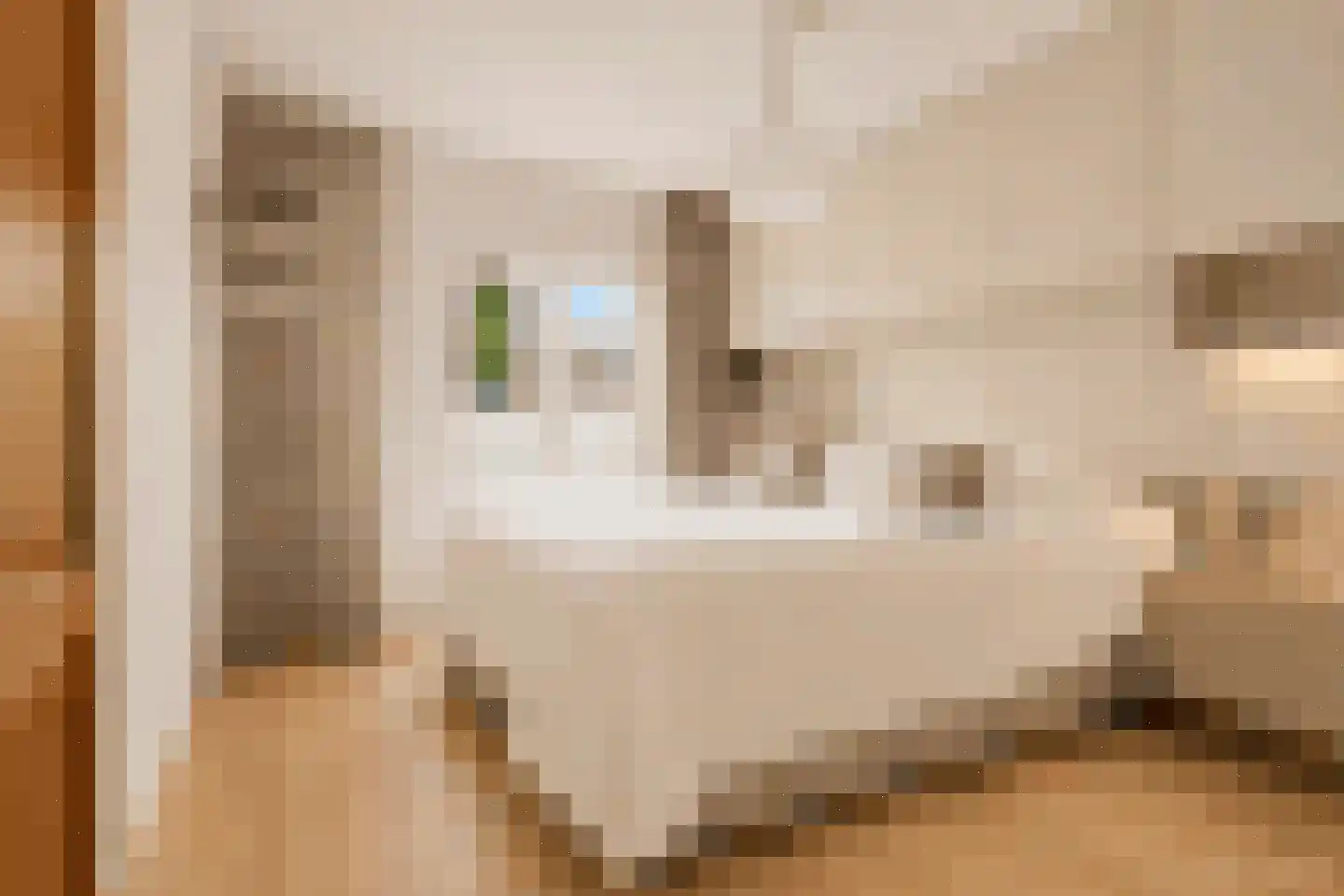 Pastoor J. van Hovestraat 64 Beesd thumbnail 23