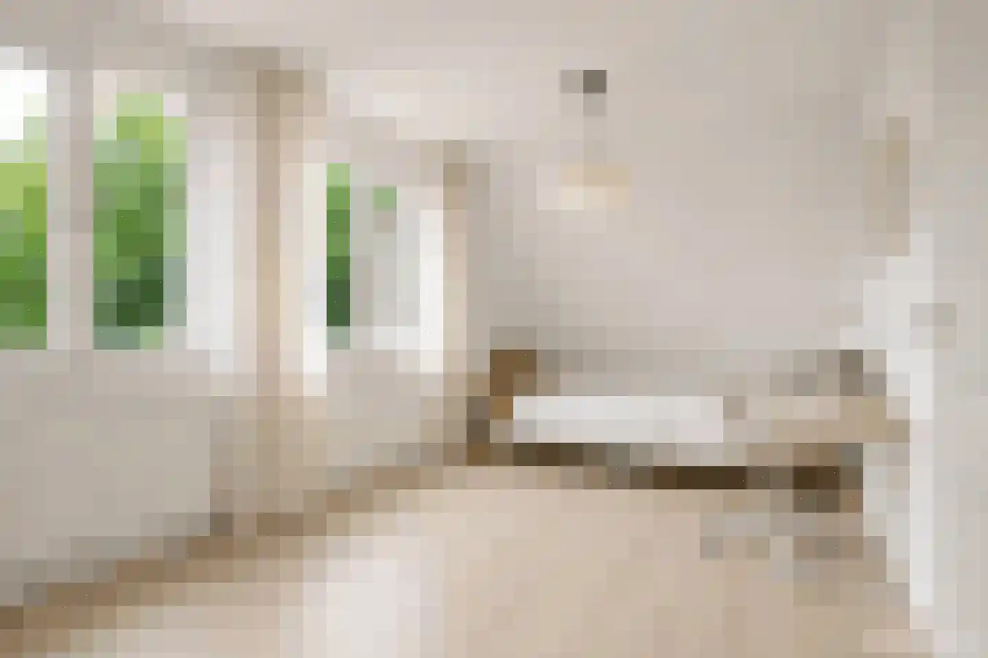 Pastoor J. van Hovestraat 64 Beesd thumbnail 31