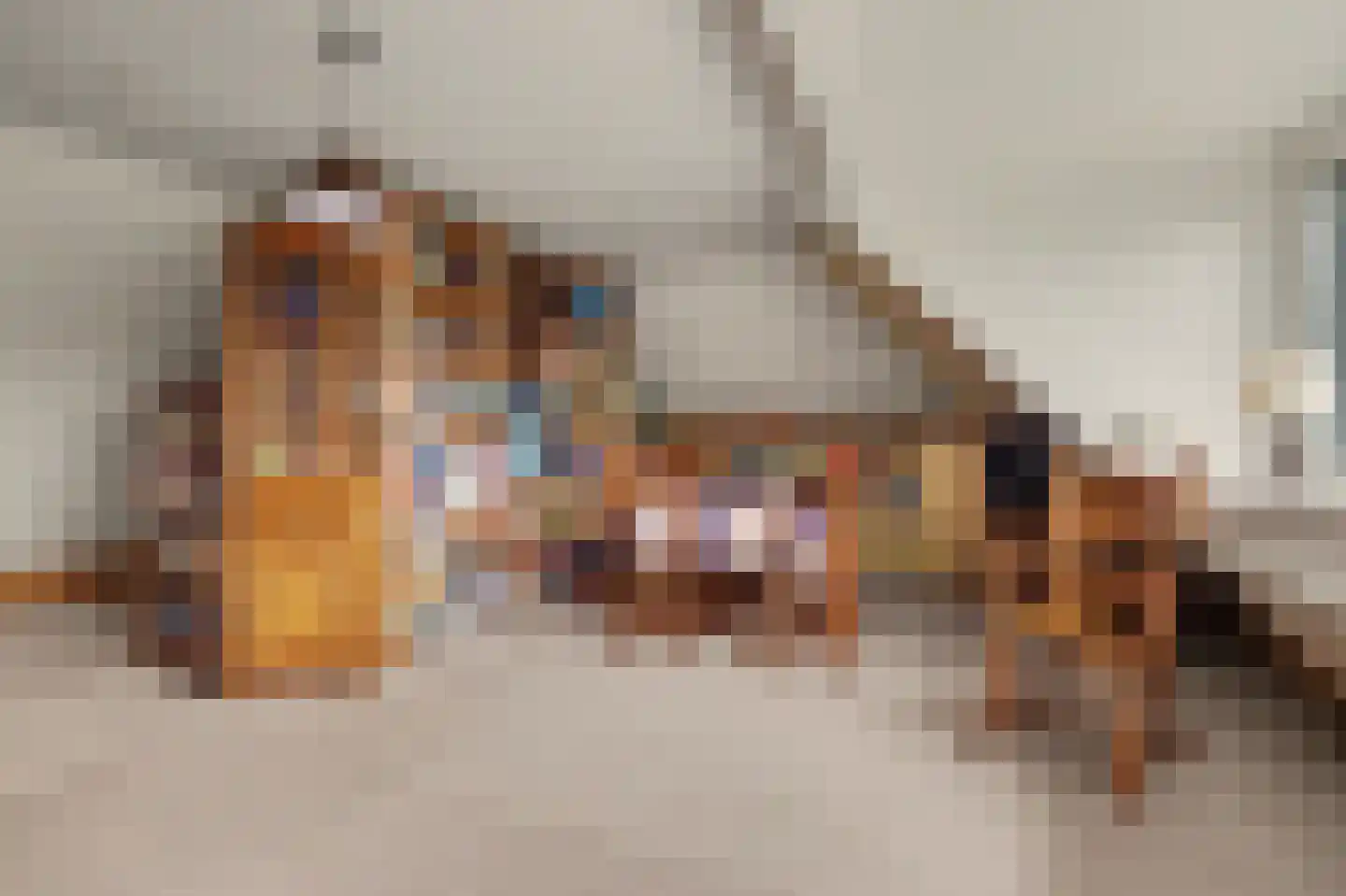 Pastoor J. van Hovestraat 64 Beesd thumbnail 38