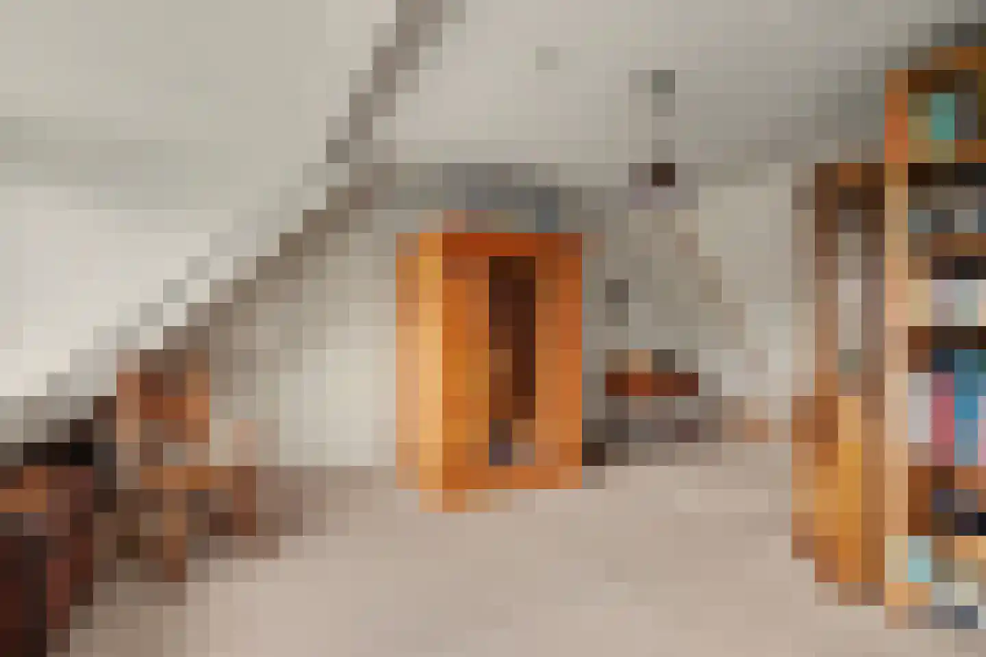 Pastoor J. van Hovestraat 64 Beesd thumbnail 39