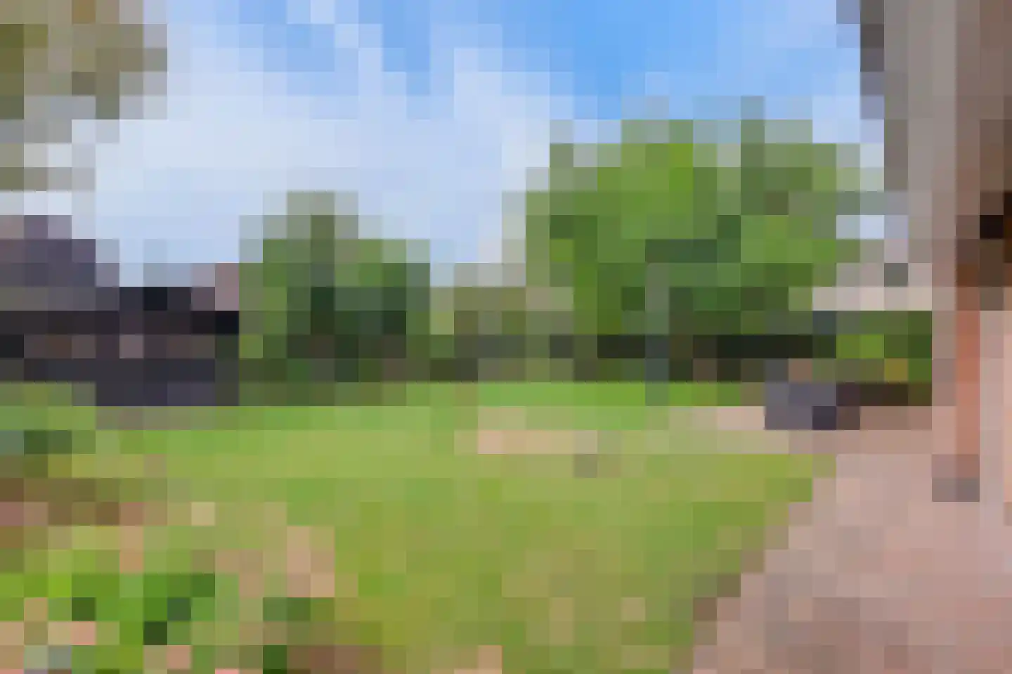 Pastoor J. van Hovestraat 64 Beesd thumbnail 43