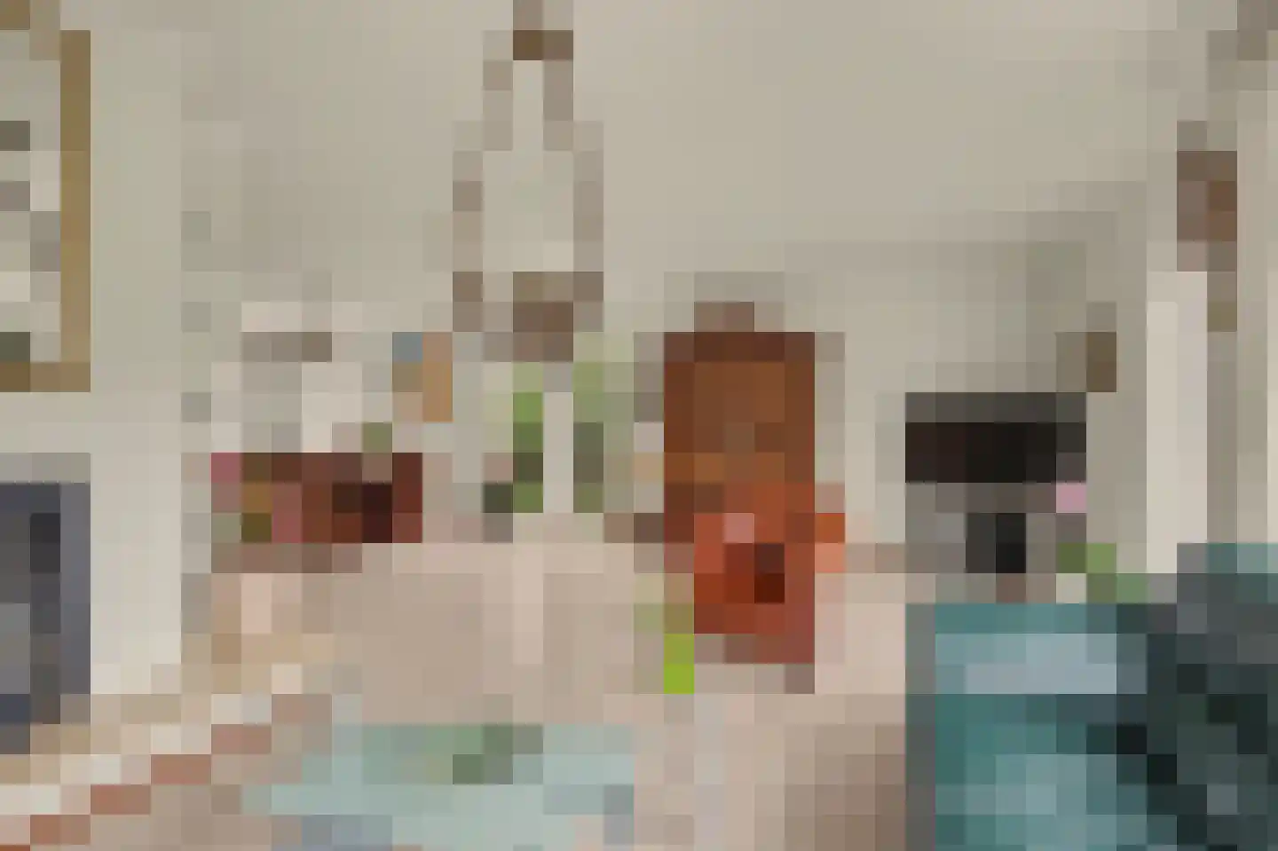 Pastoor J. van Hovestraat 64 Beesd thumbnail 8