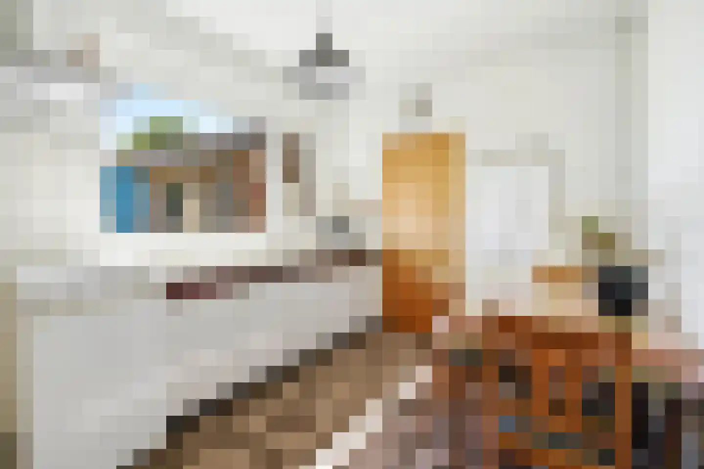 Pastoor Jacobsstraat 40 Sint Hubert thumbnail 9
