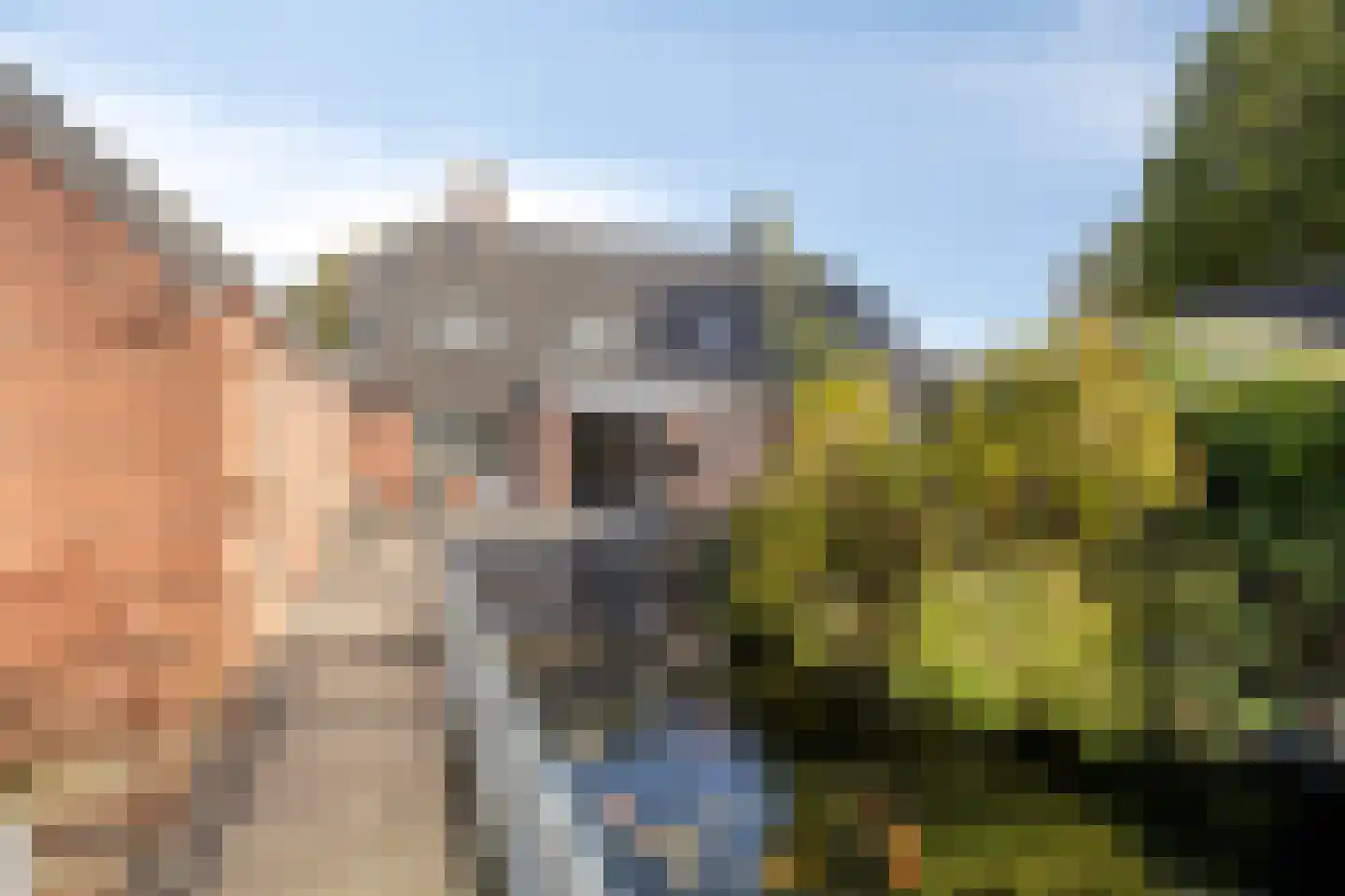 Pastoor Jansenstraat 14 Vierlingsbeek thumbnail 30