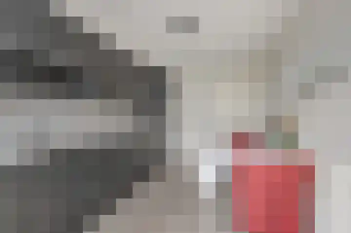 Pastoor Janssenhof 2 Didam thumbnail 10