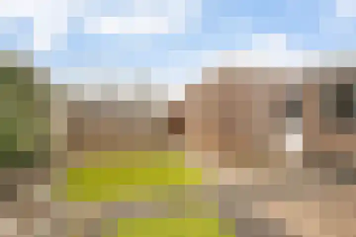 Pastoor Janssenhof 2 Didam thumbnail 17