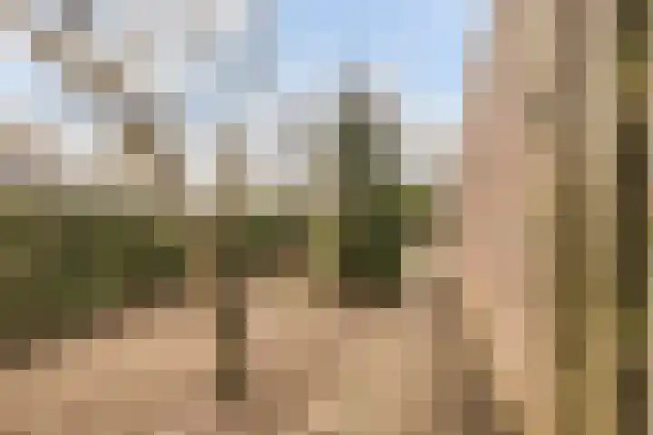 Pastoor Janssenhof 2 Didam thumbnail 19