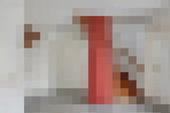 Pastoor Janssenhof 2 Didam thumbnail 21