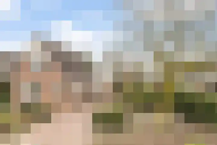 Pastoor Janssenhof 2 Didam thumbnail 29