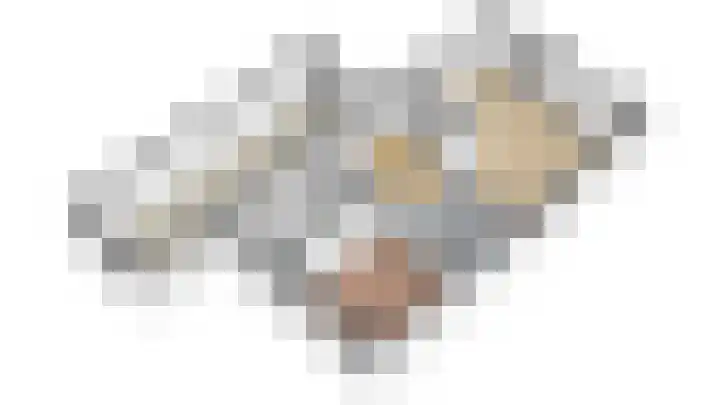 Pastoor Janssenhof 2 Didam thumbnail 31