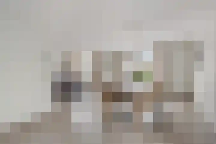 Pastoor Janssenhof 2 Didam thumbnail 5