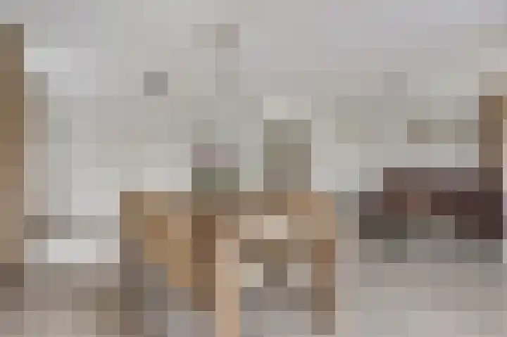 Pastoor Janssenhof 2 Didam thumbnail 6