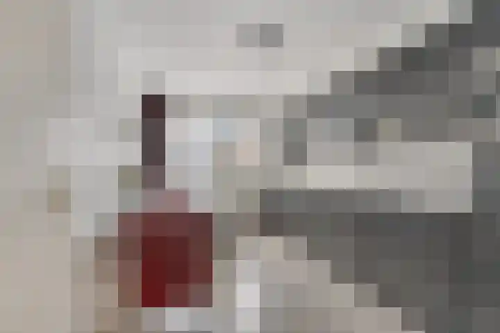 Pastoor Janssenhof 2 Didam thumbnail 8