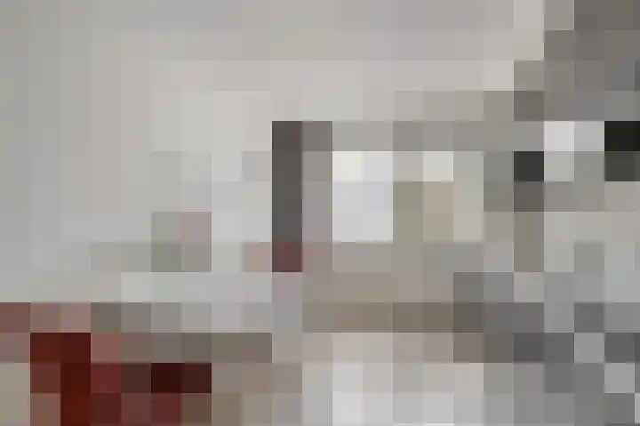 Pastoor Janssenhof 2 Didam thumbnail 9