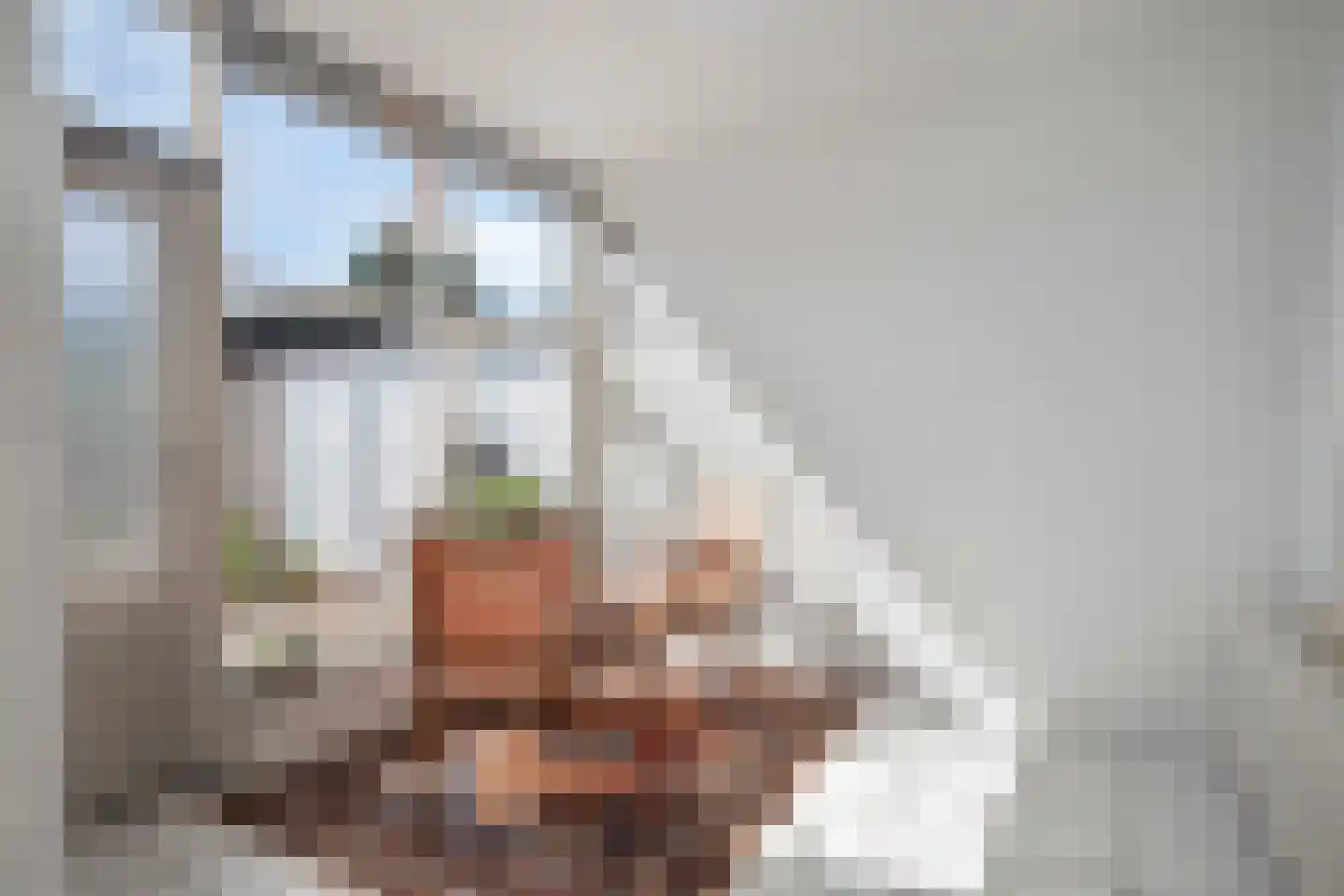 Pastoor Janssenlaan 10 Obbicht thumbnail 19