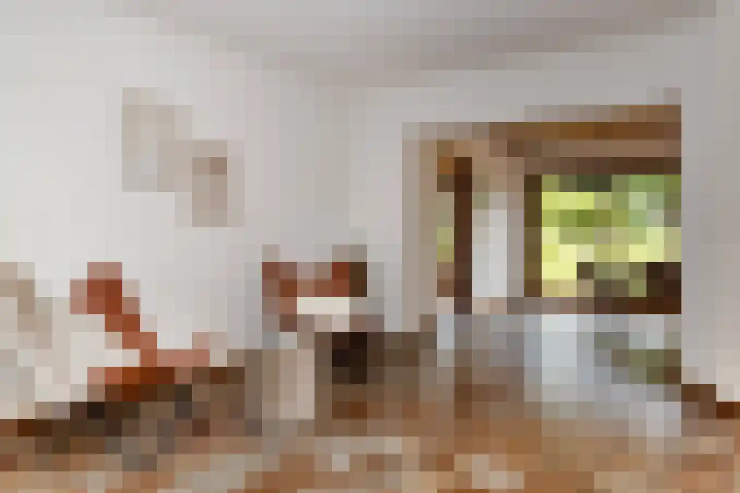 Pastoor Janssenstraat 20 Limbricht thumbnail 10
