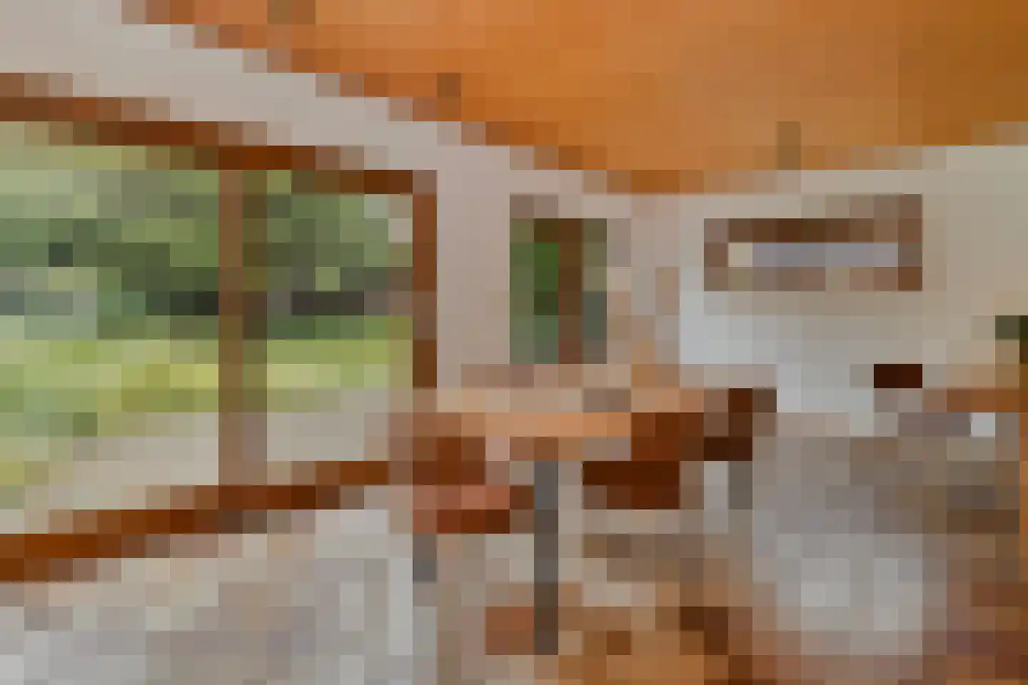 Pastoor Janssenstraat 20 Limbricht thumbnail 13