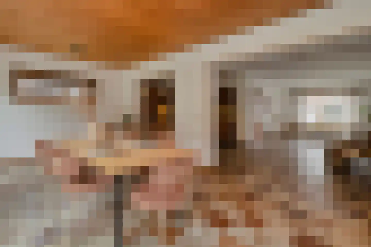 Pastoor Janssenstraat 20 Limbricht thumbnail 14