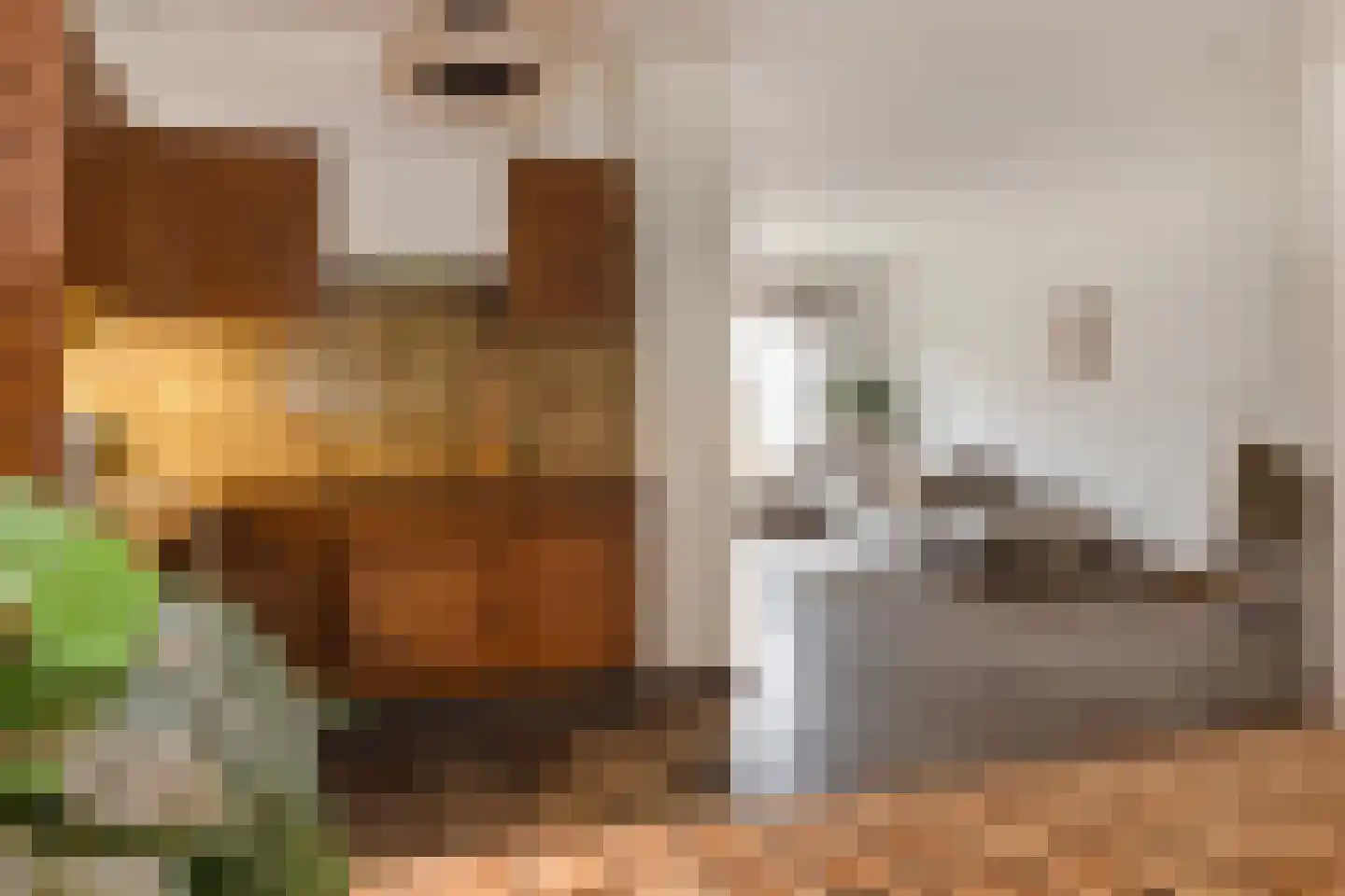 Pastoor Janssenstraat 20 Limbricht thumbnail 15