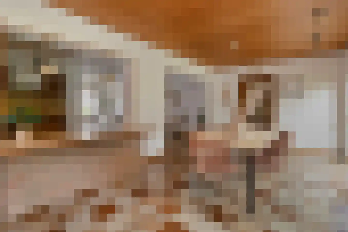 Pastoor Janssenstraat 20 Limbricht thumbnail 16