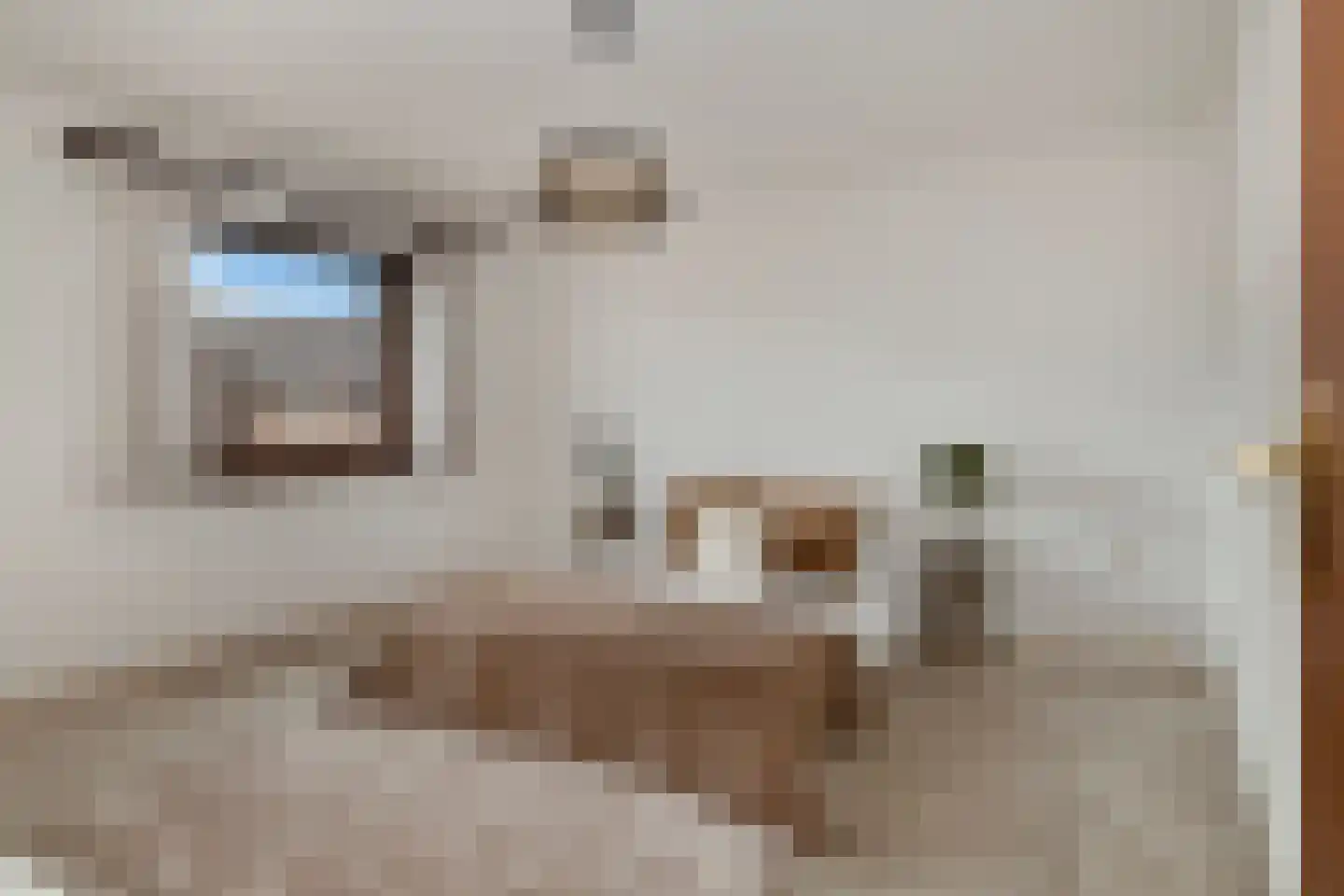 Pastoor Janssenstraat 20 Limbricht thumbnail 22