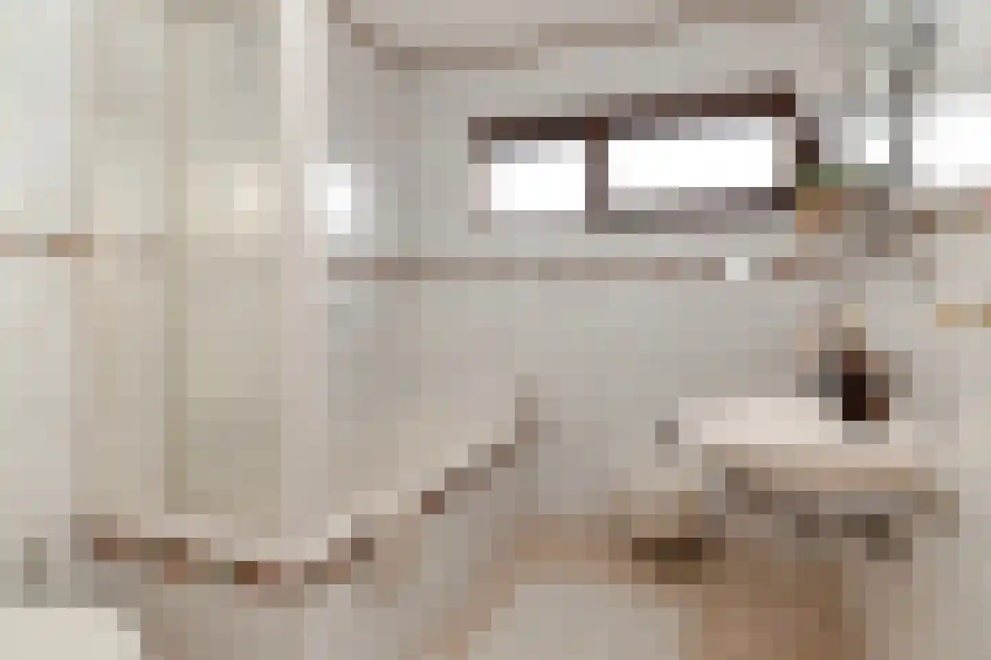 Pastoor Janssenstraat 20 Limbricht thumbnail 26