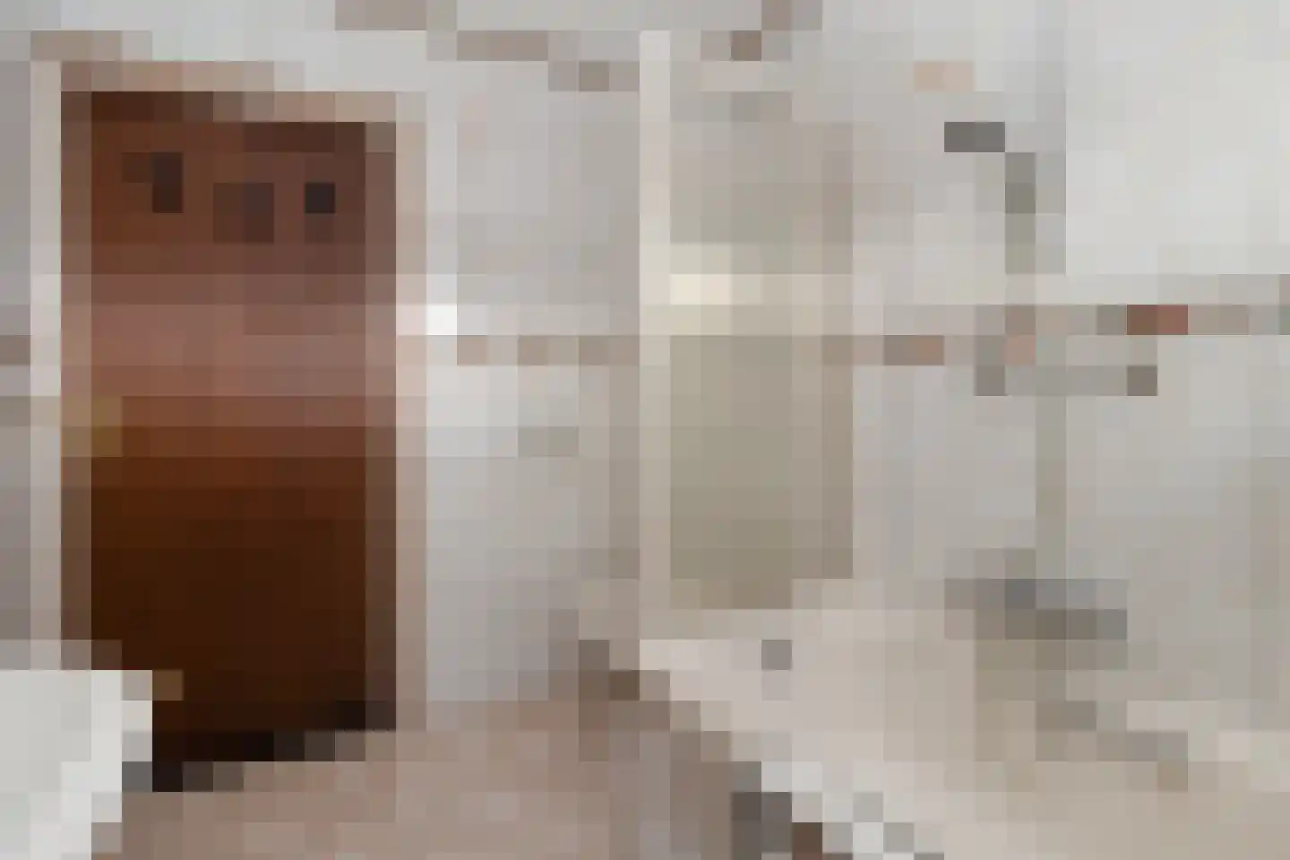 Pastoor Janssenstraat 20 Limbricht thumbnail 27