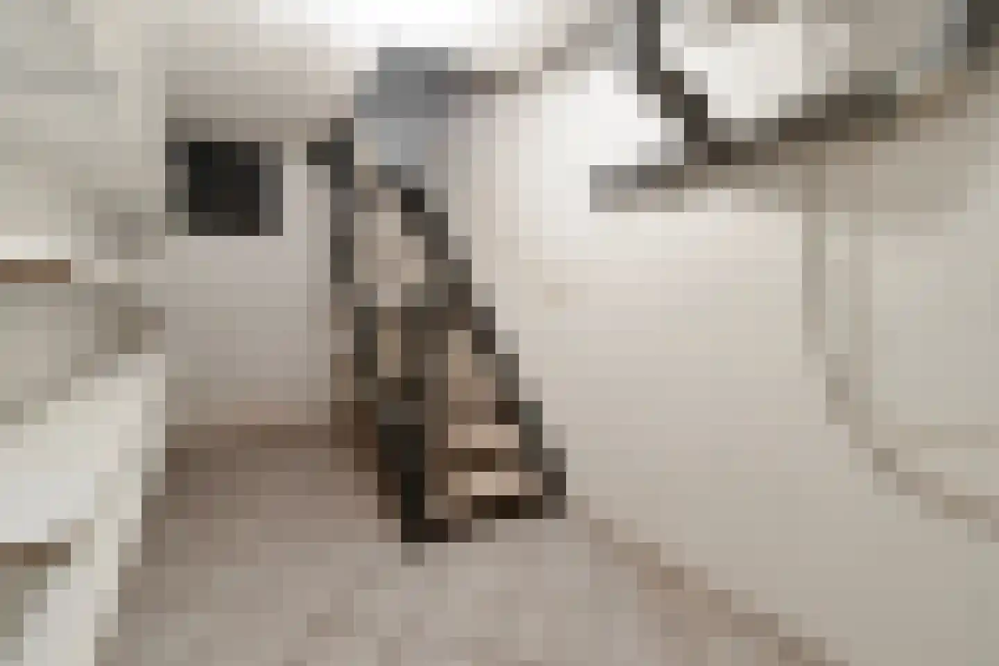 Pastoor Janssenstraat 20 Limbricht thumbnail 28