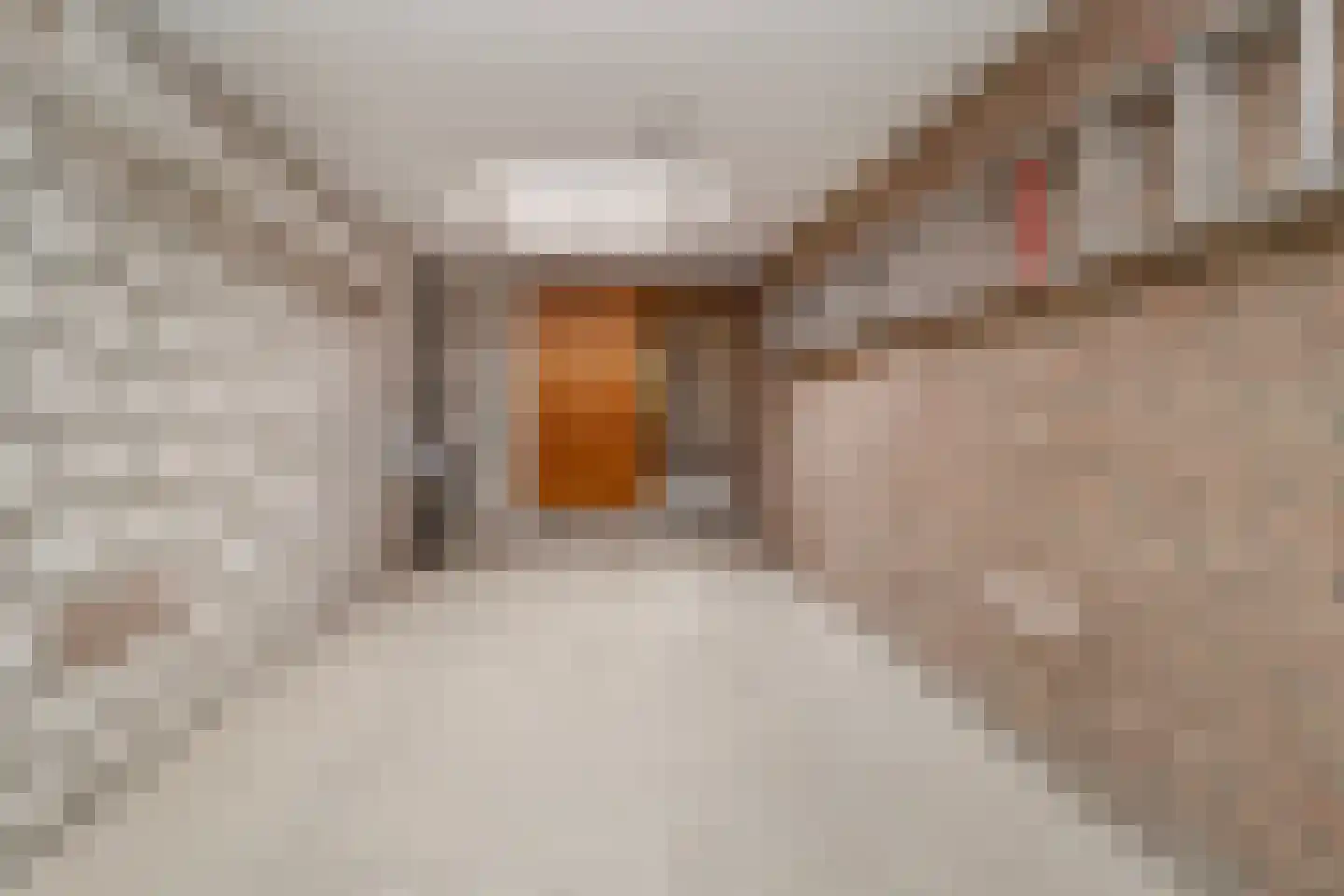 Pastoor Janssenstraat 20 Limbricht thumbnail 30