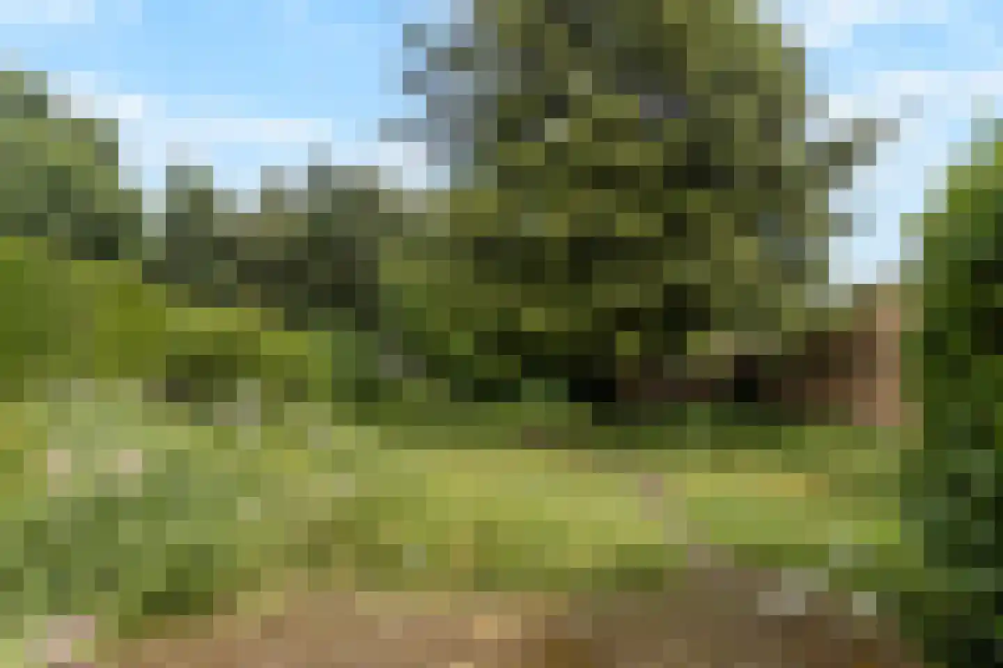 Pastoor Janssenstraat 20 Limbricht thumbnail 31