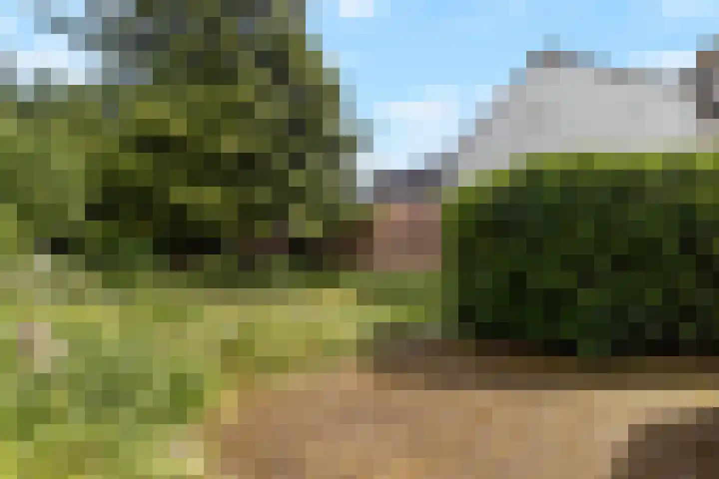 Pastoor Janssenstraat 20 Limbricht thumbnail 32
