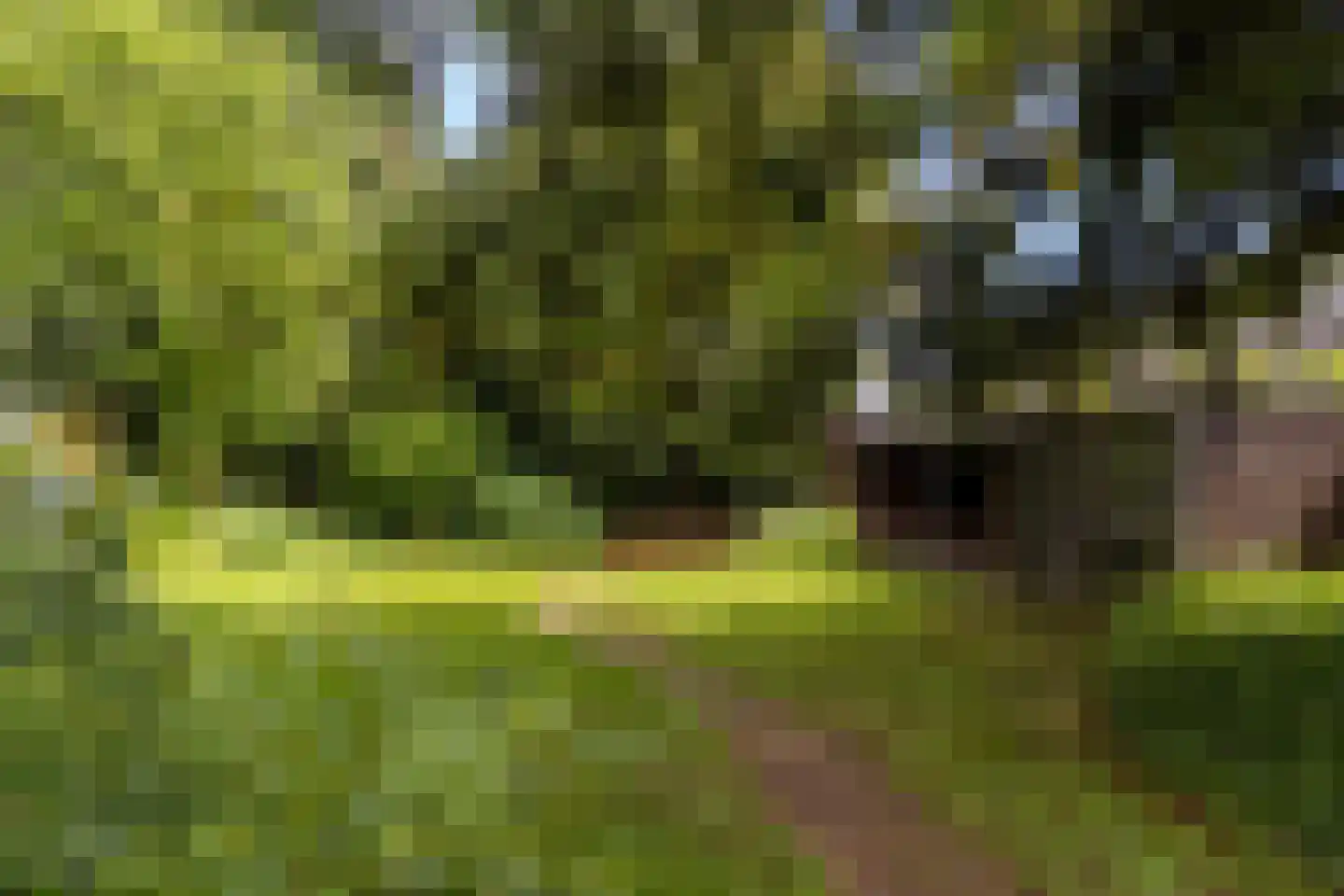 Pastoor Janssenstraat 20 Limbricht thumbnail 34