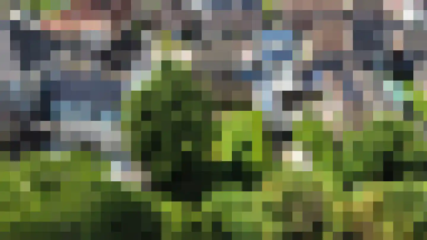 Pastoor Janssenstraat 20 Limbricht thumbnail 39