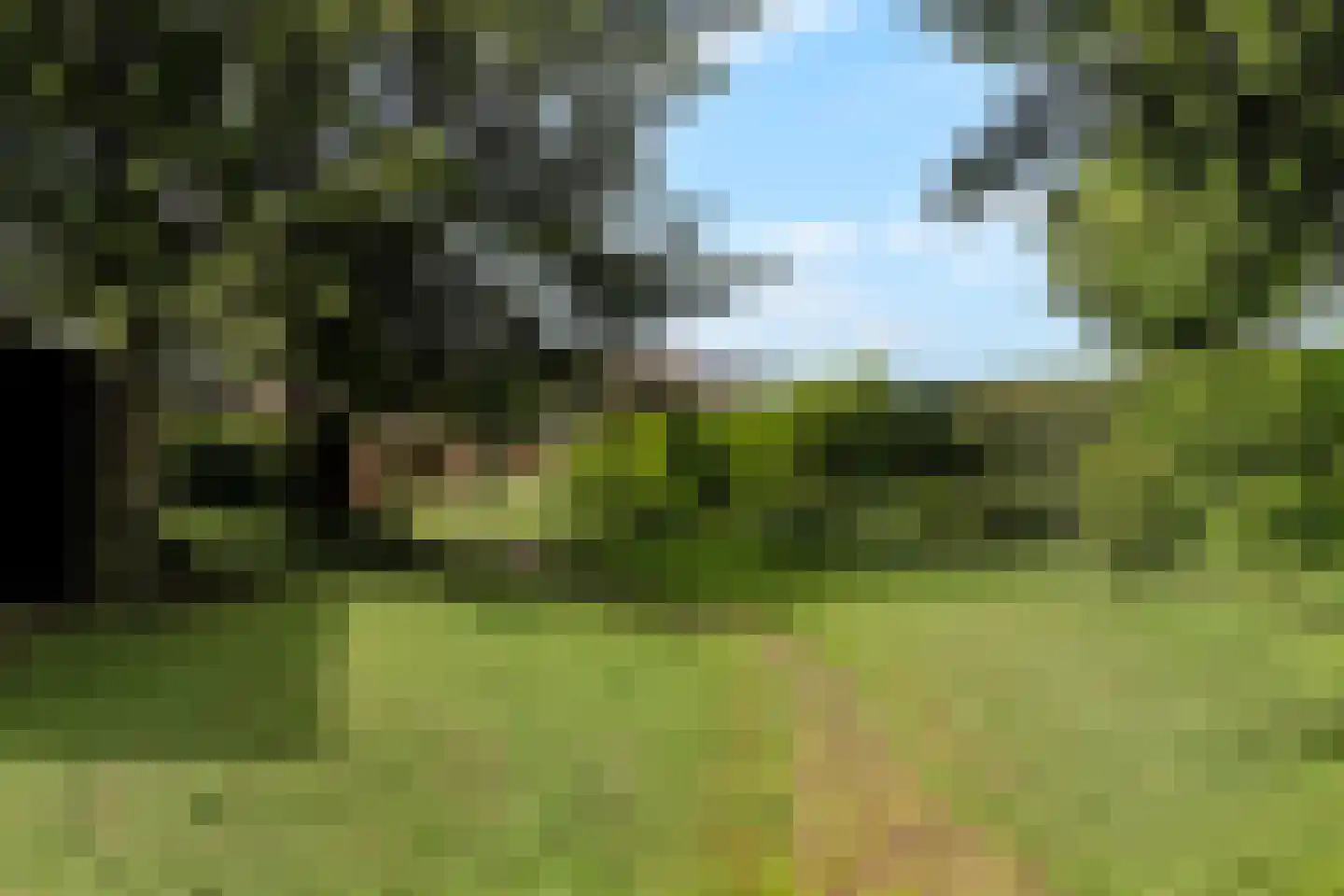 Pastoor Janssenstraat 20 Limbricht thumbnail 4