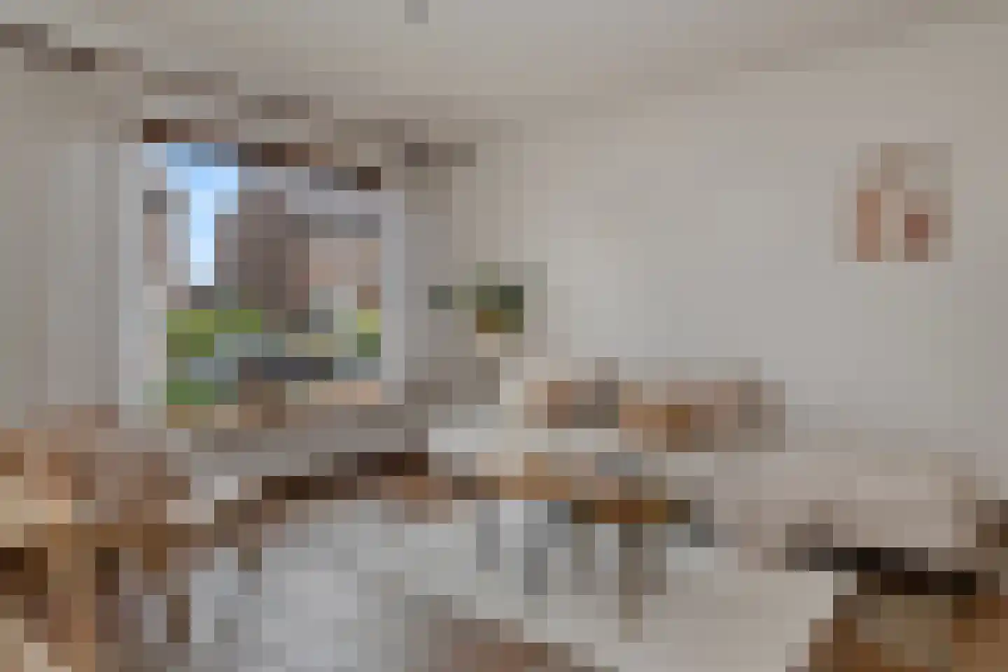 Pastoor Janssenstraat 20 Limbricht thumbnail 8