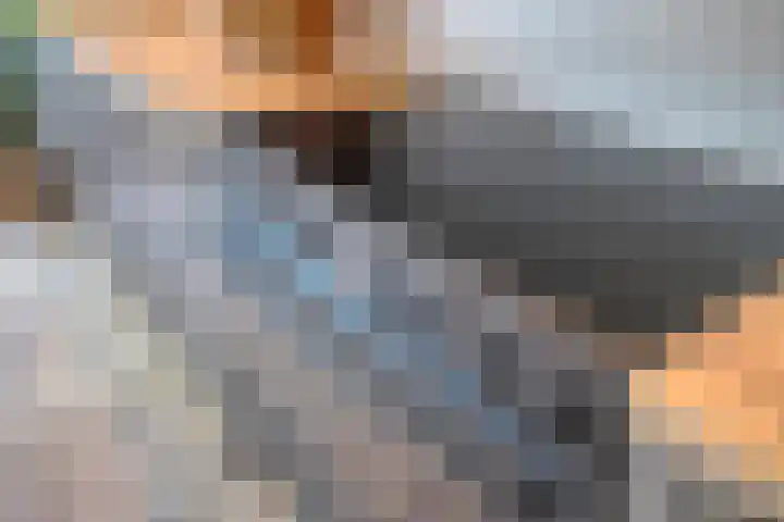Pastoor Janssenstraat 3 Meerlo thumbnail 13
