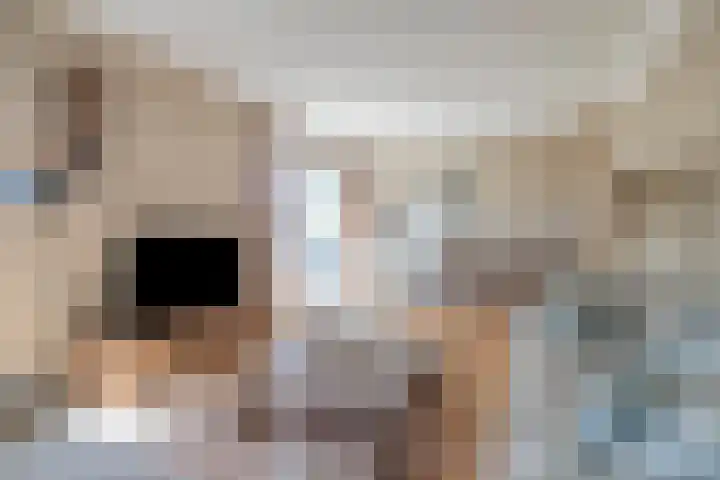 Pastoor Janssenstraat 3 Meerlo thumbnail 20