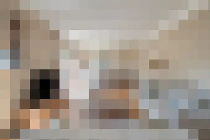 Pastoor Janssenstraat 3 Meerlo thumbnail 21