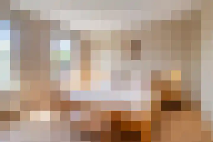Pastoor Janssenstraat 3 Meerlo thumbnail 22