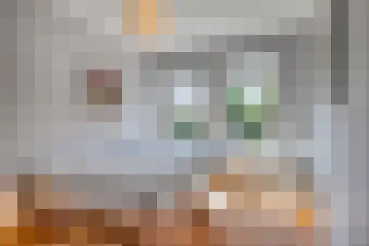 Pastoor Janssenstraat 3 Meerlo thumbnail 26
