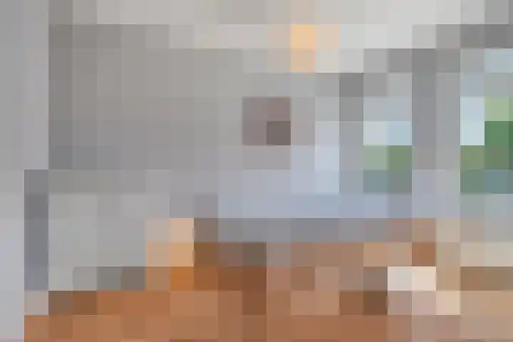 Pastoor Janssenstraat 3 Meerlo thumbnail 27
