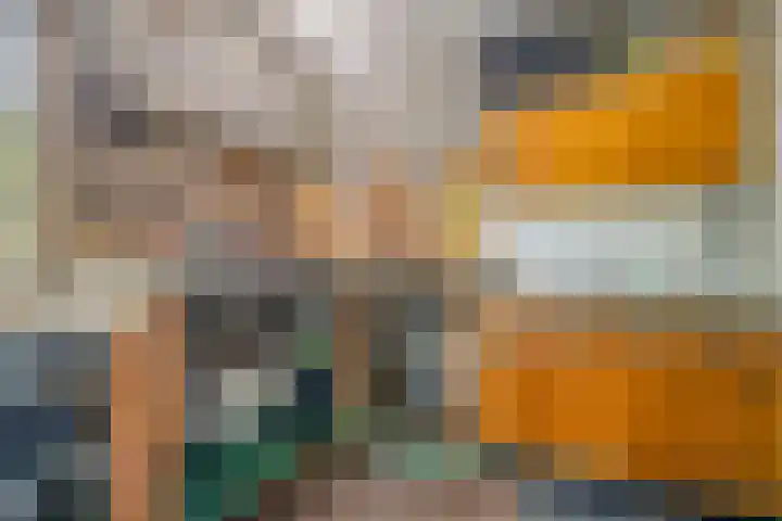 Pastoor Janssenstraat 3 Meerlo thumbnail 37