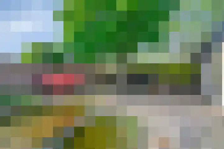 Pastoor Janssenstraat 3 Meerlo thumbnail 42