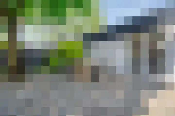 Pastoor Janssenstraat 3 Meerlo thumbnail 43