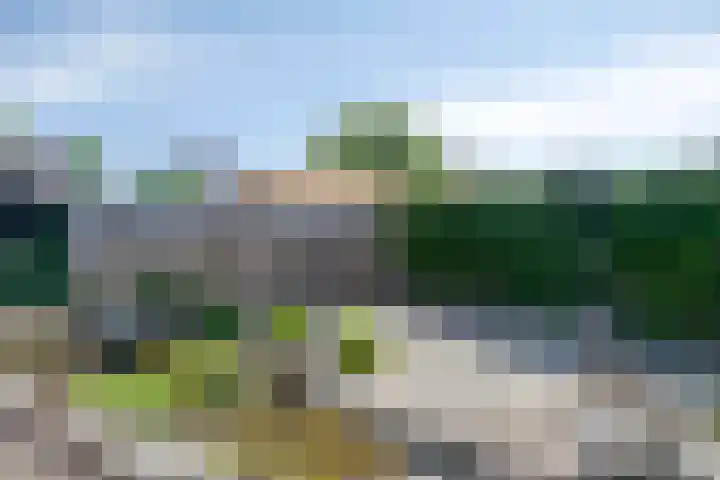 Pastoor Janssenstraat 3 Meerlo thumbnail 45