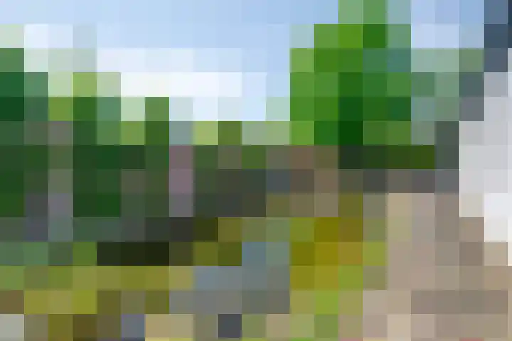 Pastoor Janssenstraat 3 Meerlo thumbnail 46